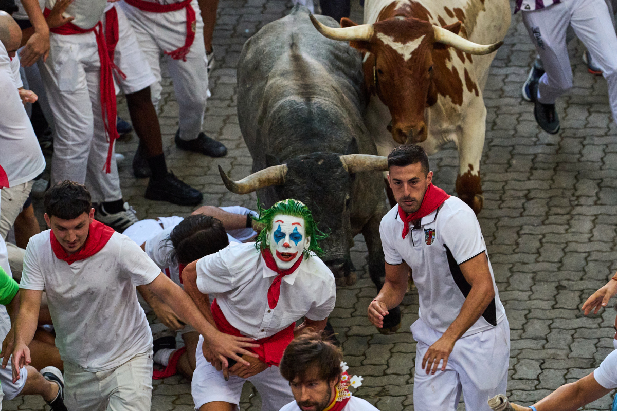 Spain / Bulls / Pamplona / Býk / 