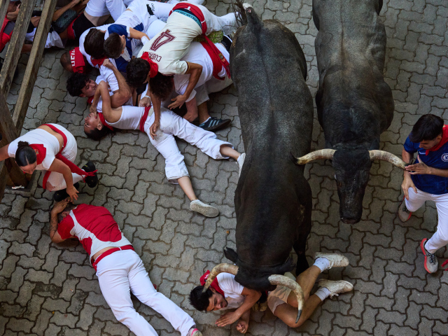 Spain / Bulls / Pamplona / Býk / 