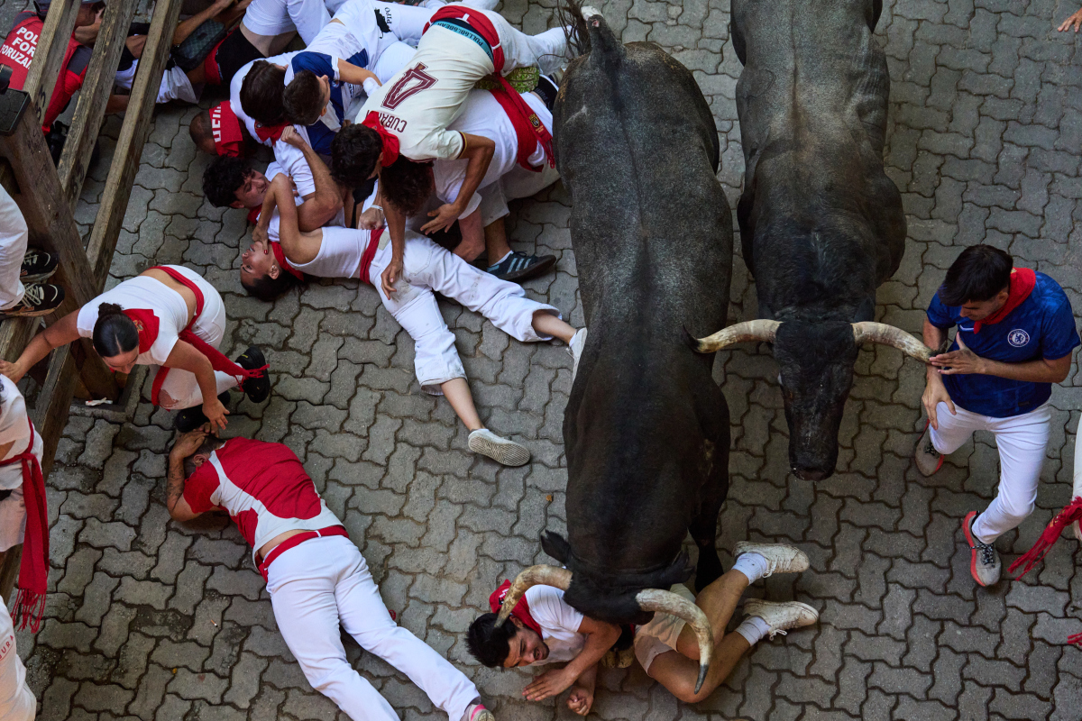 Spain / Bulls / Pamplona / Býk / 