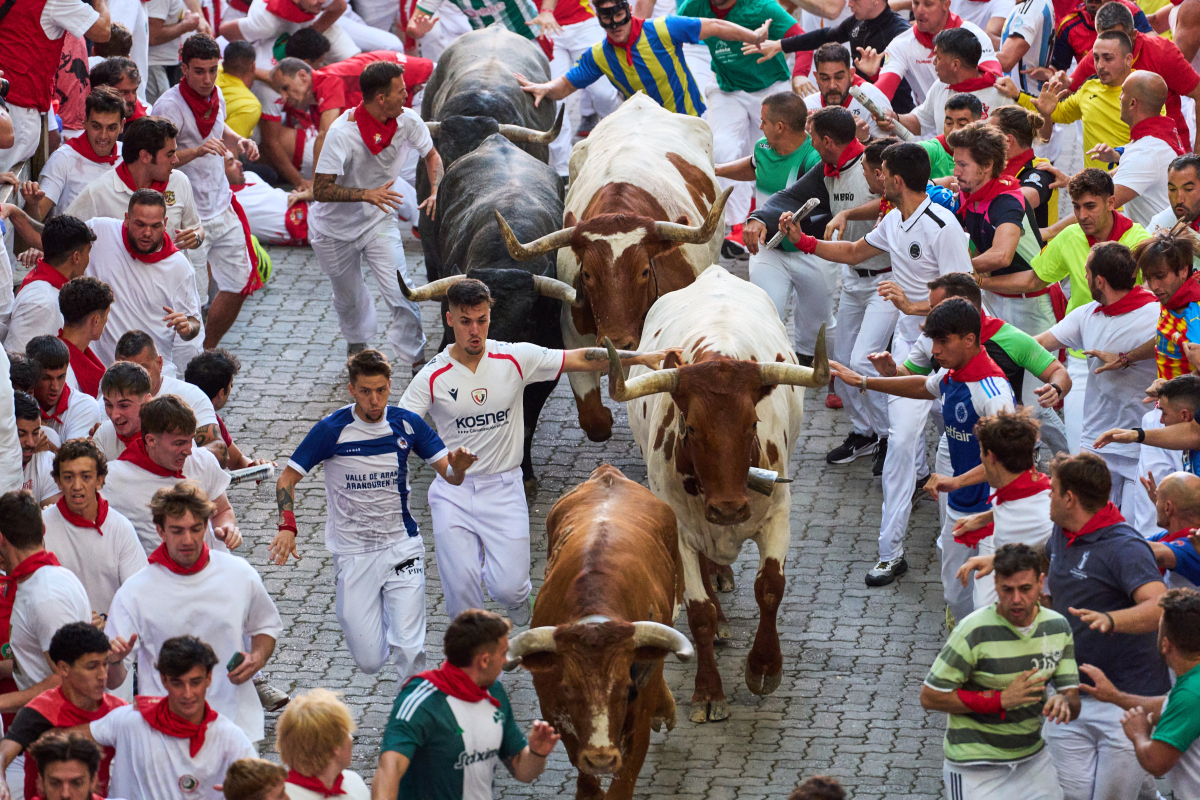 Spain / Bulls / Pamplona / Býk / 