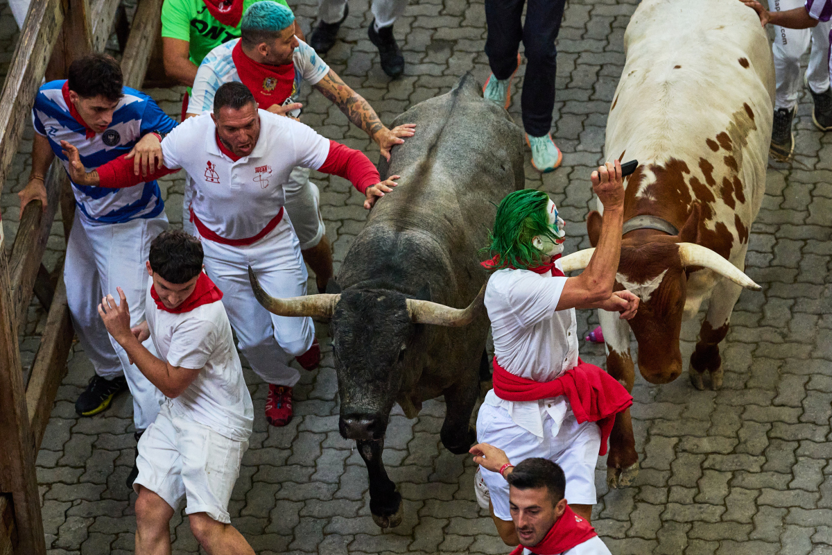 Spain / Bulls / Pamplona / Býk / 