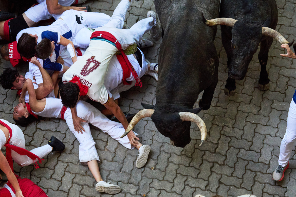 Spain / Bulls / Pamplona / Býk / 