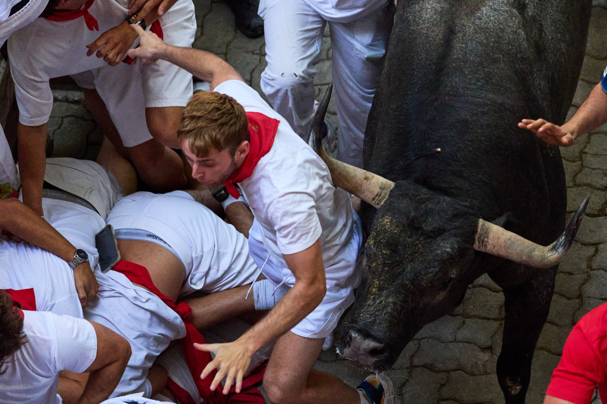 Spain / Bulls / Pamplona / Býk / 