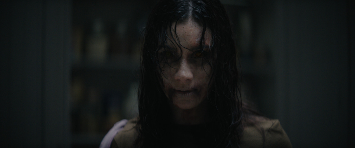 Evil Dead: Zhor v pekle
