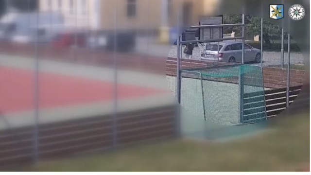 Krádež vozidla, krádež, vozidlo, auto, 
