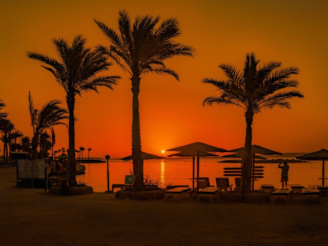 Sunset / Palm / Beach / Trees / 