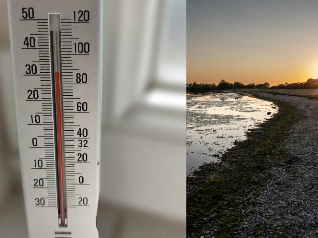 horúčavy, vysoké teploty, klimatická kríza