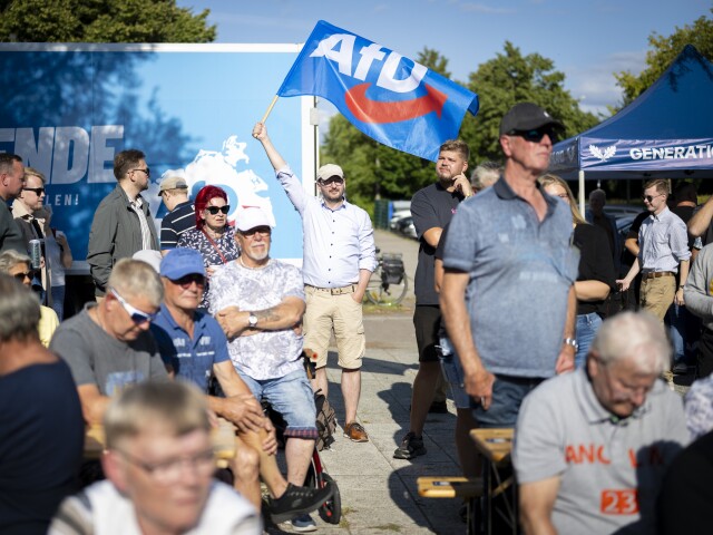 AfD, Nemecko