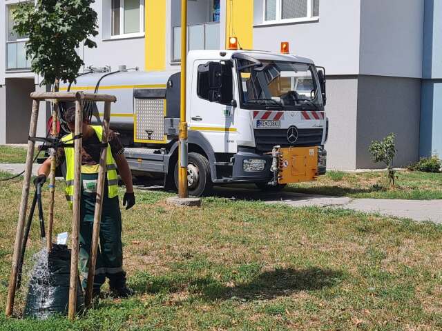 Správa mestskej zelene Košice bojuje so suchom. Stromy a kríky polieva aj v noci, pomôcť majú aj vaky na postupné zalievanie.