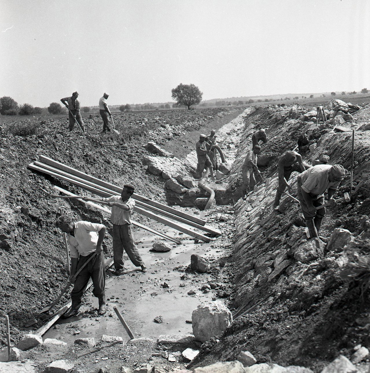 Meliorácie na Slovensku v minulosti. Snímka z roku 1959 je z budovania melioračného kanálu v okolí obce Kráľová pri Senci.