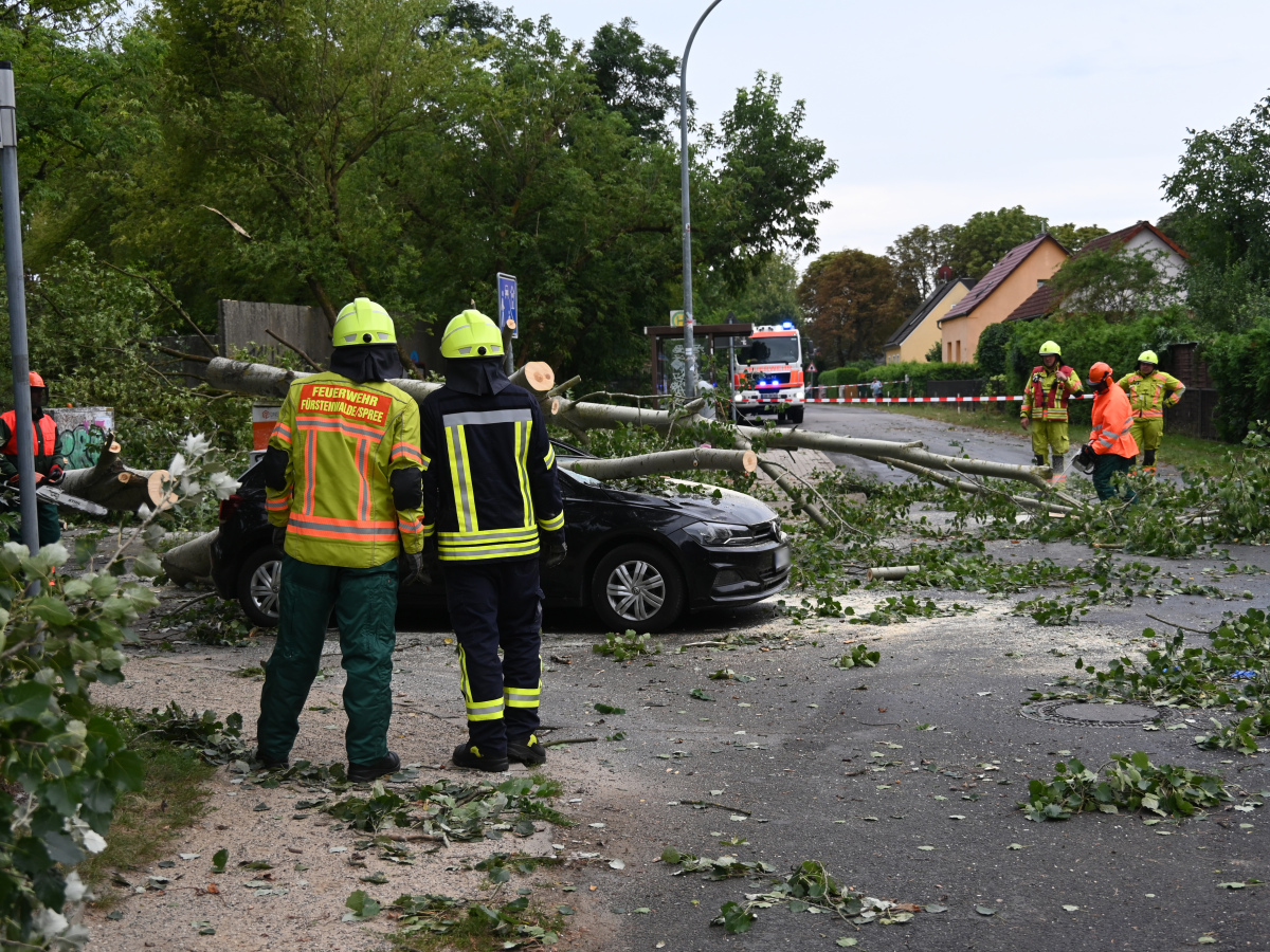 Nemecko Fürstenwalde Počasie Tornádo búrka strom