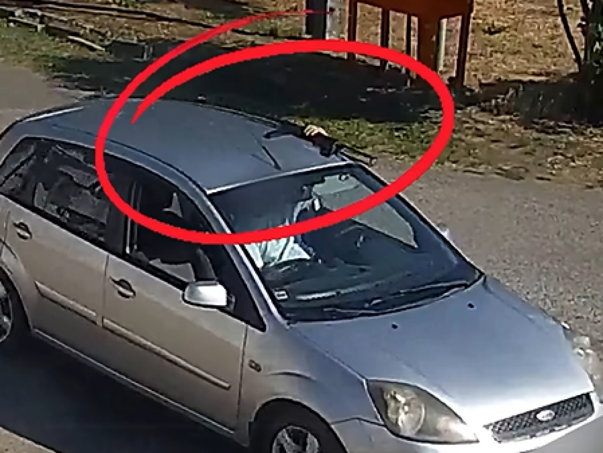 Zbraň / Auto /