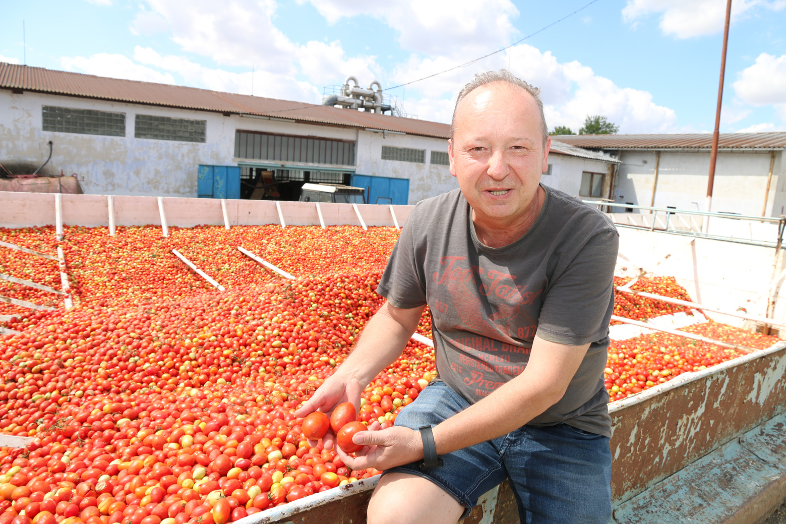 Zeleninár Róbert Péter: Zo 180 hektárov rajčín pozberajú úrodu len z 25 hektárov.
