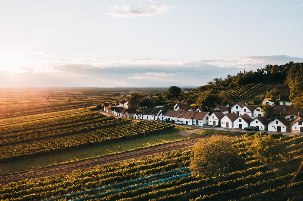 Weinviertel.