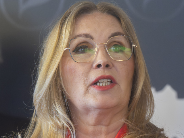 Zuzana Šubová