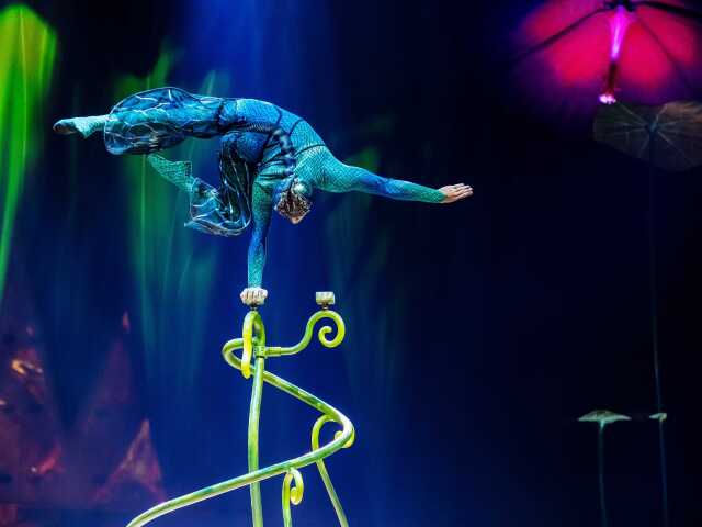 Cirque du Soleil - OVO prináša na javisko akrobatické čísla na najvyššej úrovni.