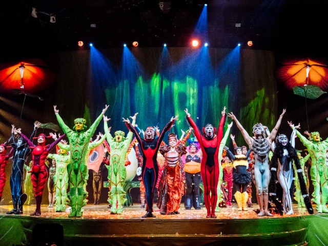 Predstavenie Cirque du Soleil - OVO je zábavné a chaotické, no zároveň rozkošné a úžasné.