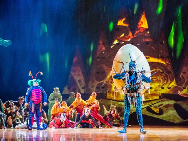 Cirque du Soleil OVO s jeho neobyčajnými tvormi.