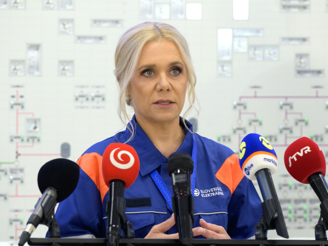 Koľko zaplatia Slováci za elektrinu v roku 2027? Saková prezradila cenu, vláda chce ešte vyjednávať