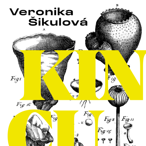 Veronika Šikulová - Kincugi
