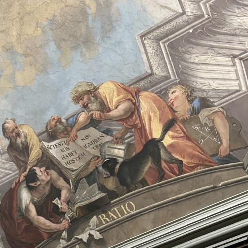 Na strope si možno všimnúť aj postavu muža s oslími ušami v červenej kapucni, ktorý trhá knihu. Oslie uši ukazujú jeho hlúposť a ignoranciu, preto ho anjel na freske chce skopnúť dolu. Ignorancia je najväčší nepriateľ ľudského vedenia - to hlása nápis v latinčine.